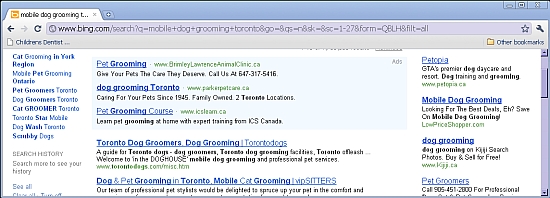 Bing PPC Results on Chrome