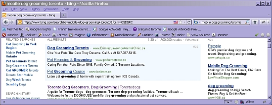 Bing PPC Results on FireFox