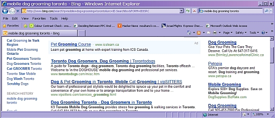 Bing PPC Results on IE
