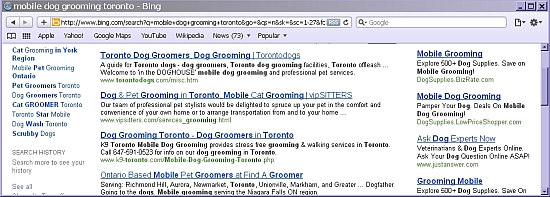Bing PPC Results on Safari